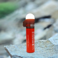 图片 EDC bulb