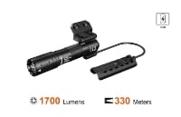 Picture of P15 Tactical Light