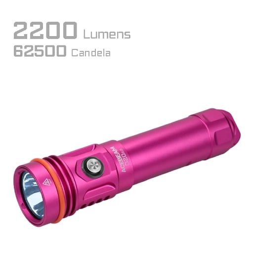 Picture of D20 2.0 Dive Flashlight
