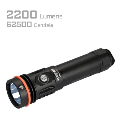 Picture of D20 2.0 Dive Flashlight