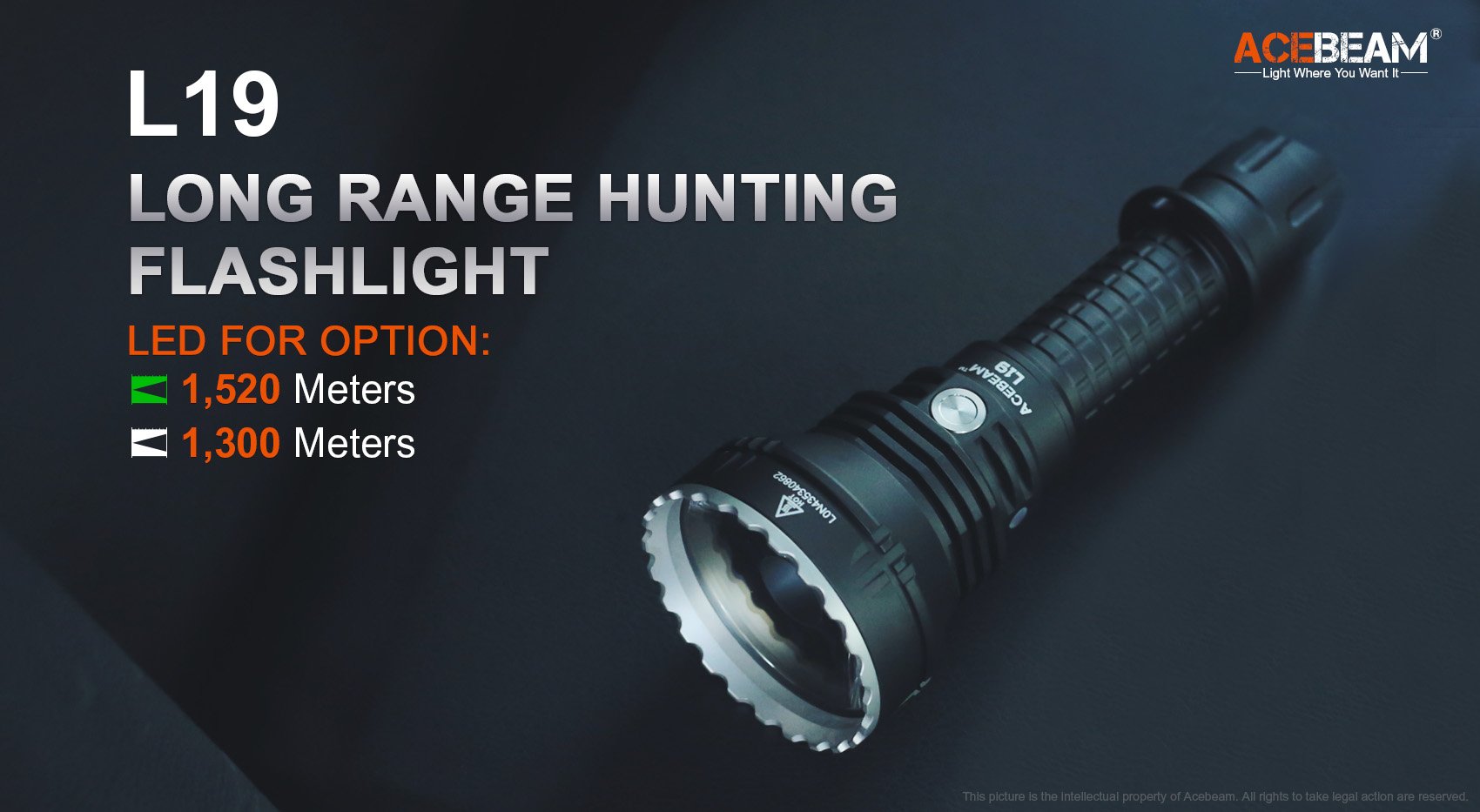 L19 1.0 Long Range Hunting Flashlight L19 1.0 Long Range Hunting Flashlight